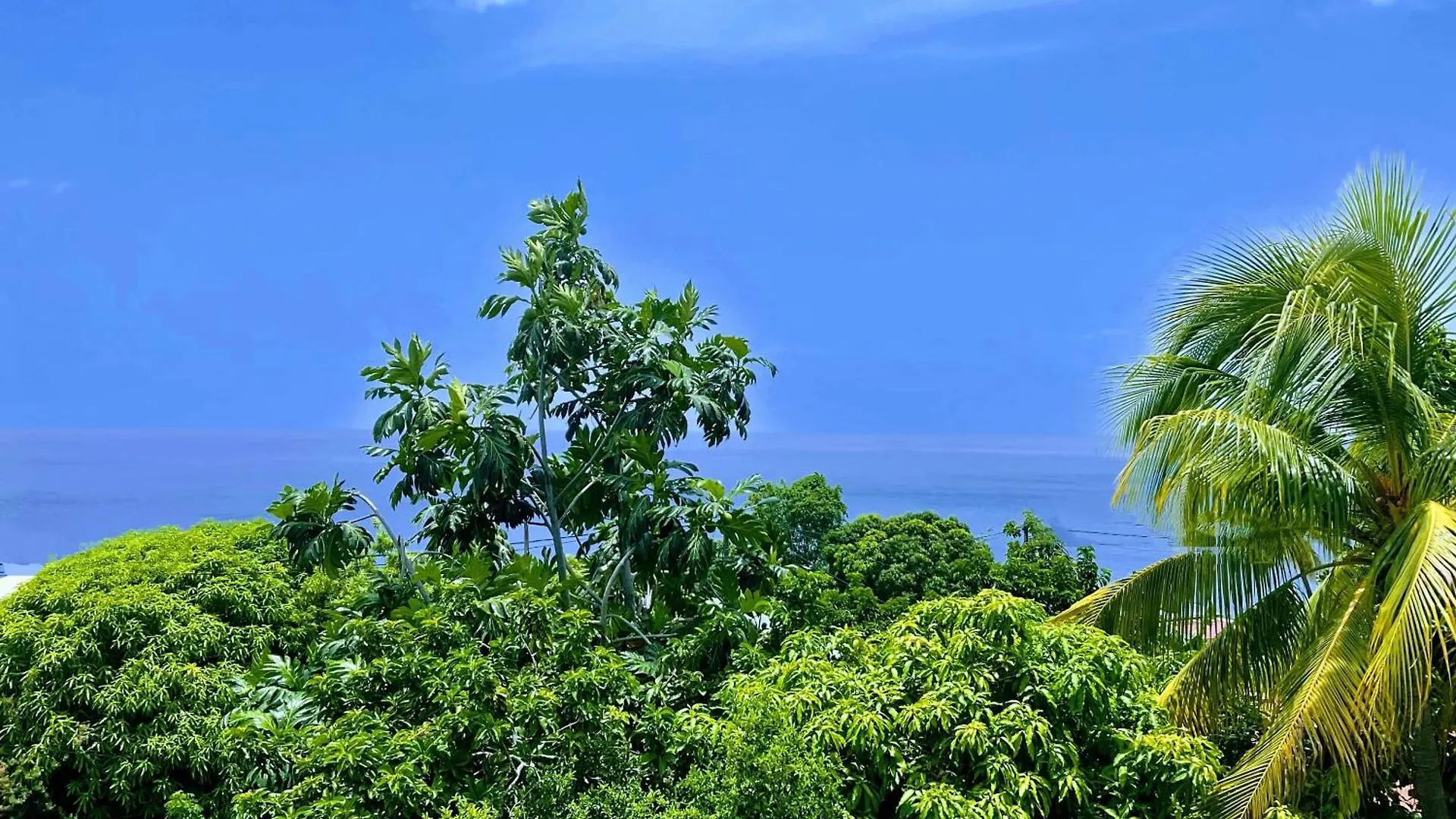 Apartment Appartement Elegant Avec Jacuzzi A Bouillante 40M² Guadeloupe