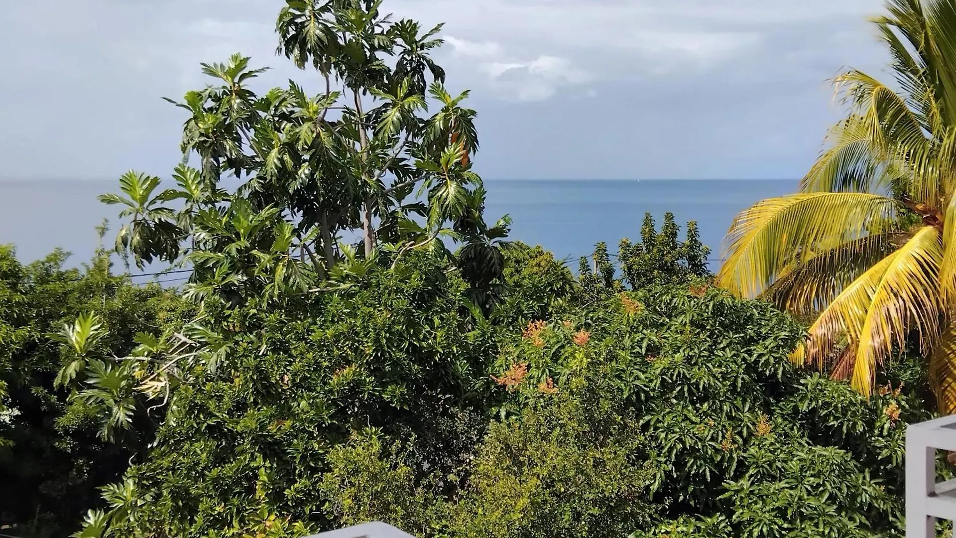 Appartement Elegant Avec Jacuzzi A Bouillante 40M² 0*,  Guadeloupe